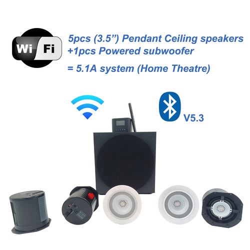 WF51 Wireless Powered 5.1A system