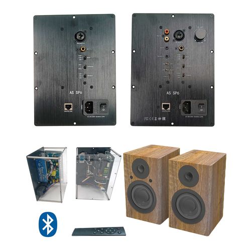 BS-M6 Dual Powered Studio Monitor speakers